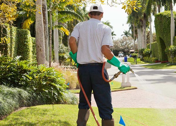 About Berkley MI Pest Control